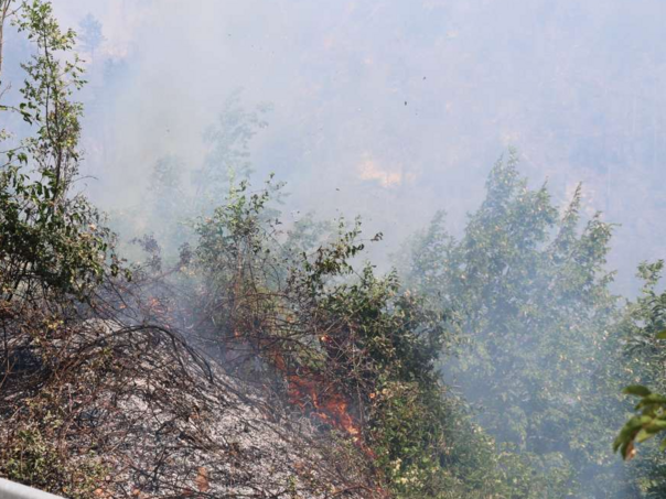 Više požara u Zapadnohercegovačkom kantonu, opožareno oko 20 hektara