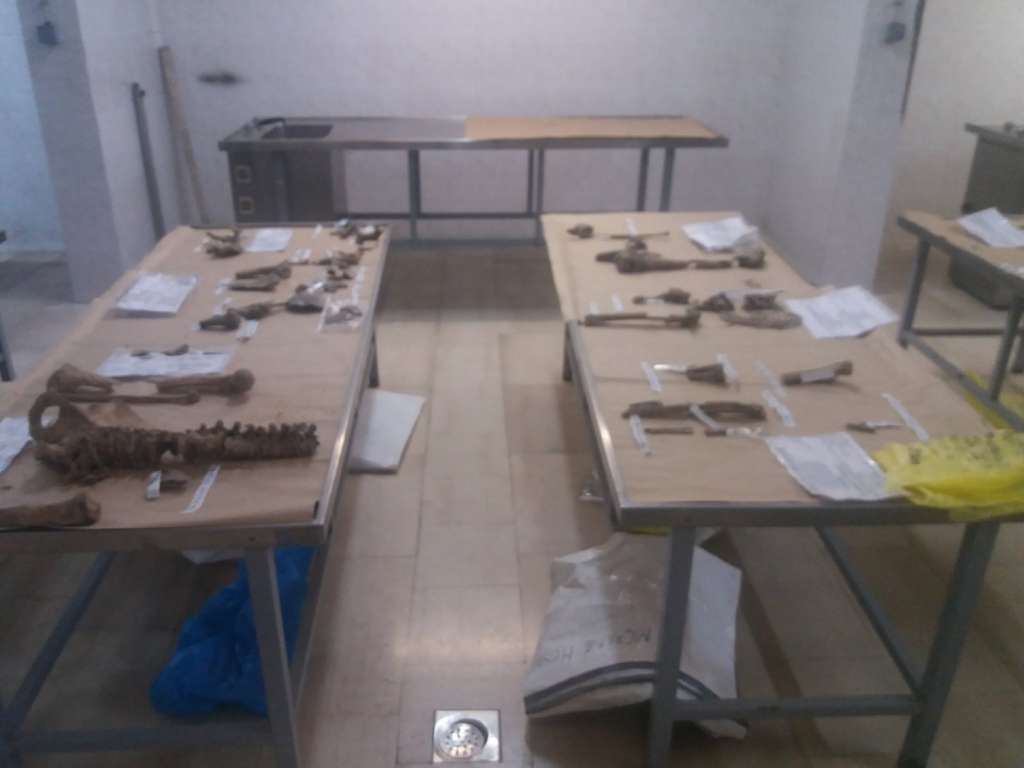 Vitez: Identificirano 13 žrtava rata, među njima i šestero djece