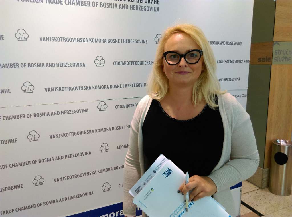 Vizija budućnosti BiH je zapostavljena i namjerno zamagljena dnevnopolitičkim previranjima
