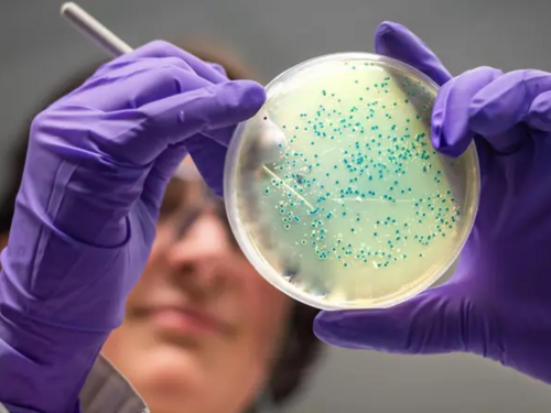 Vještačka inteligencija pronašla antibiotike za gonoreju i MRSA superbakterije