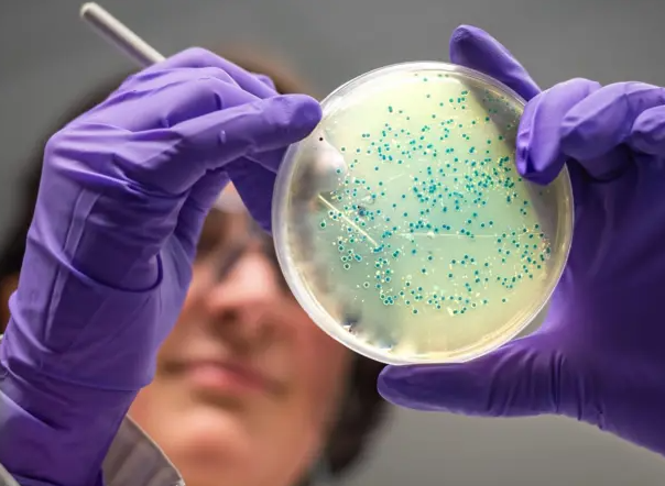 Vještačka inteligencija pronašla antibiotike za gonoreju i MRSA superbakterije