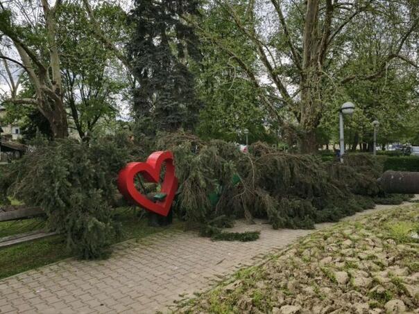 Vjetar iščupao nekoliko stabala u Kozarskoj Dubici