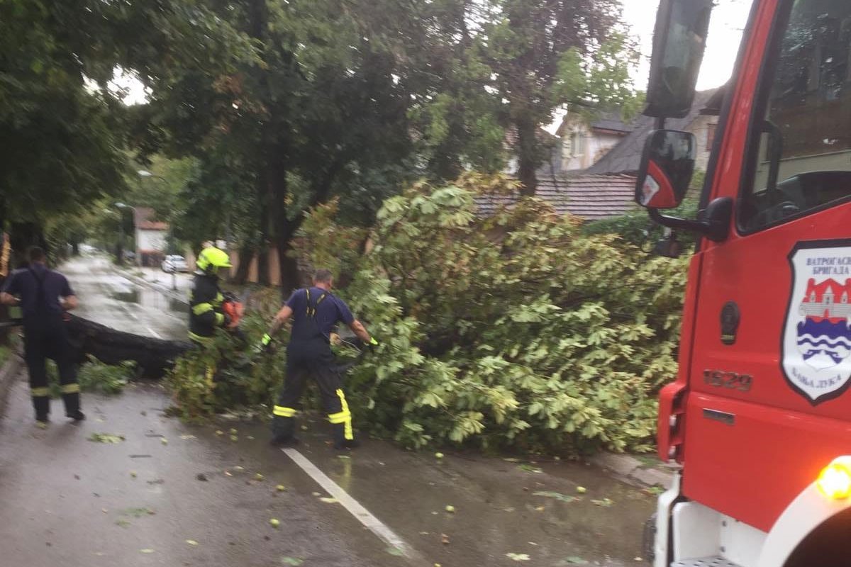 Vjetar obarao stabla u Banjaluci, vatrogasci intervenisali