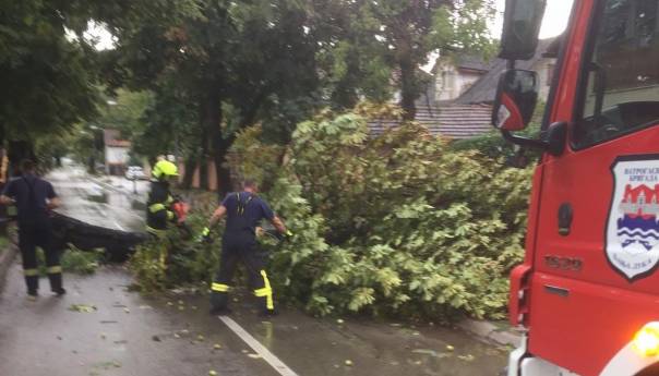 Vjetar obarao stabla u Banjaluci, vatrogasci intervenisali