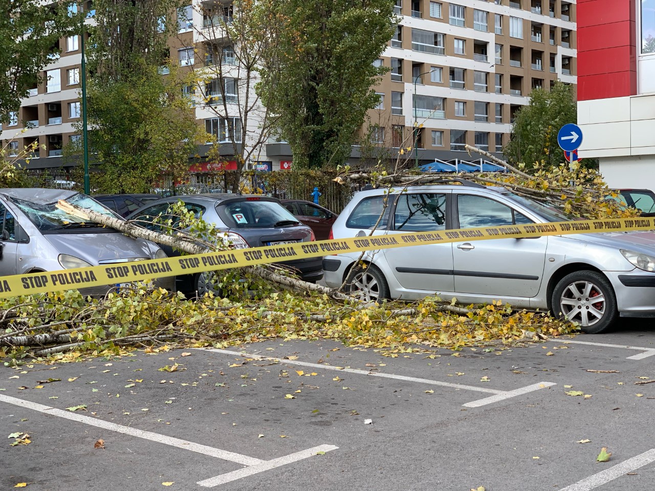 Vjetar obarao stabla u Sarajevu, oštećeno nekoliko vozila