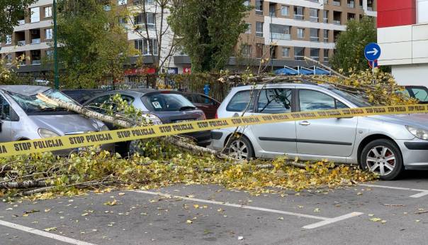 Vjetar obarao stabla u Sarajevu, oštećeno nekoliko vozila