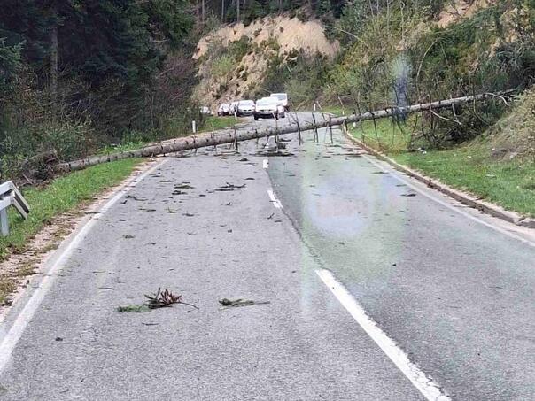 Vjetar oborio i nekoliko stabala na putu Banjaluka-Čađavica