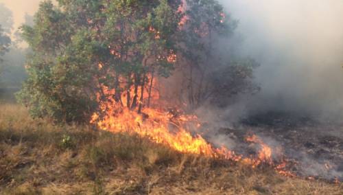 Vjetar otežava gašenje požara kod Tomislavgrada