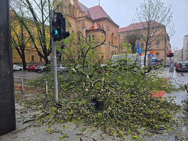 Vjetar srušio stablo u centru Zagreba