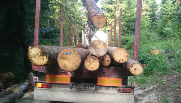Vlada FBiH odlučna da osigura funkcionalno tržište ogrjevnog drveta i peleta