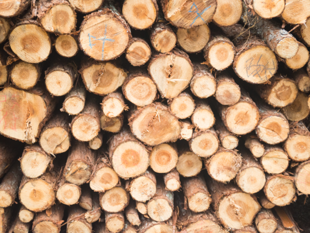 Vlada izdvojila 60.000KM za subvencioniranje ogrijeva za penzionere