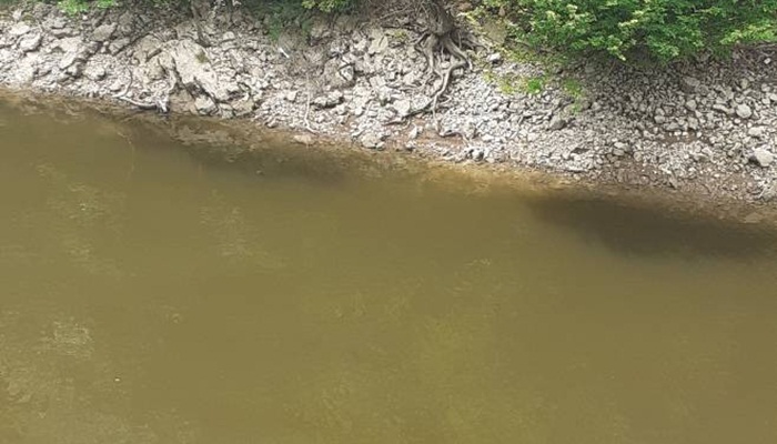 Voda iz Vrbasa kod Banje Luke na dodatnoj analizi, uočene promjene boje