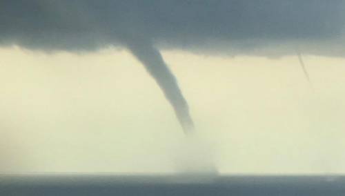 Vodena pijavica uletjela na plažu: Ljudi u panici bježali glavom bez obzira