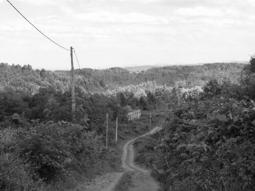 Vojska RS je masakrirala Hrvate u Briševu: Svjedočenja su jeziva