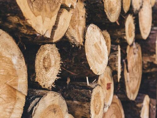 Vozač kod Sarajeva imao sudar, pa policija slučajno otkrila da je krao šumu