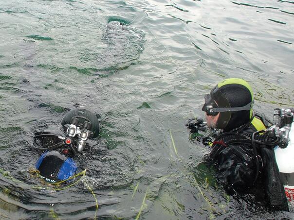 Vozilo sletjelo u Unu, ronioci tragaju za djevojkom