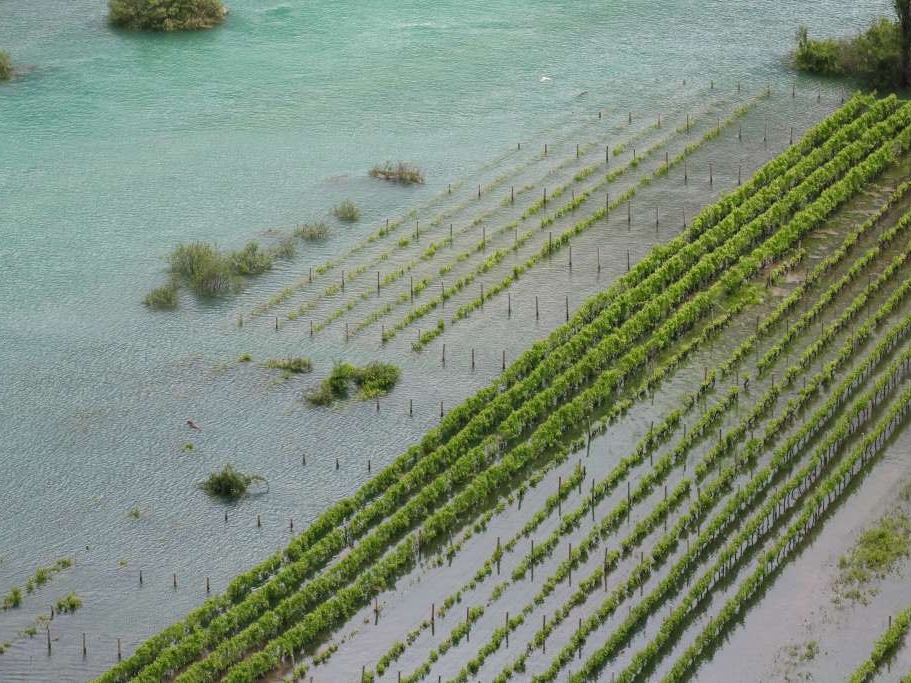 Vrgorački most i cesta između Vrgorca i Ljubuškog od jutros su pod vodom