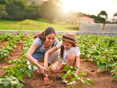 Vrtlarenje s djecom budi maštu i jača povezanost cijele porodice