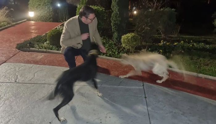 Vučić: Spremamo se za borbu protiv anonimusa