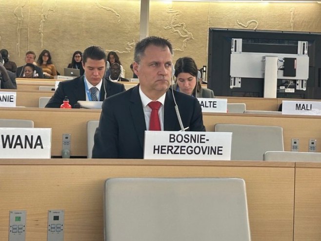 Vujić u UN-u: Schmidt sprovodi tiraniju u BiH
