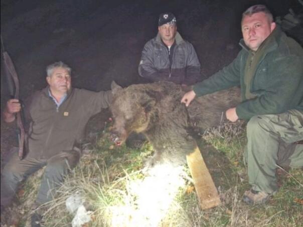 Stravične slike: U krivolovu kod Vlasenice ubijena četiri medvjeda