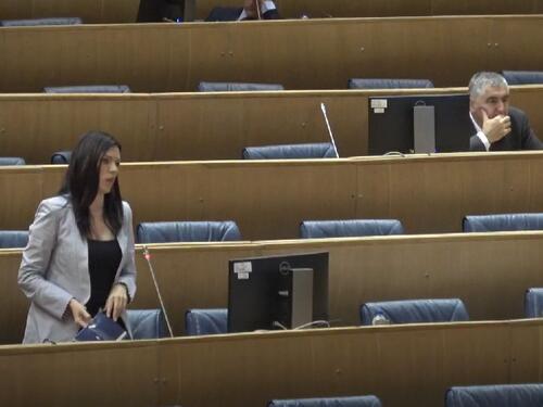 Vulić: Hoćemo li gepekovati predlagače budžeta i dovesti ih na sjednicu?