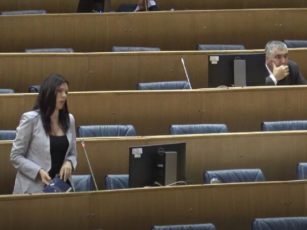 Vulić: Hoćemo li gepekovati predlagače budžeta i dovesti ih na sjednicu?