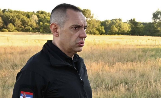 Vulin: Šetnje nije ni bilo