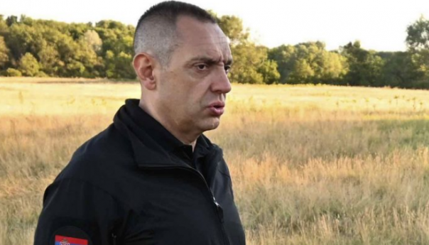 Vulin: Šetnje nije ni bilo