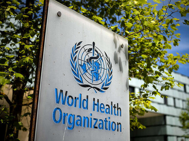 WHO: Nema znakova veće epidemije hantavirusa