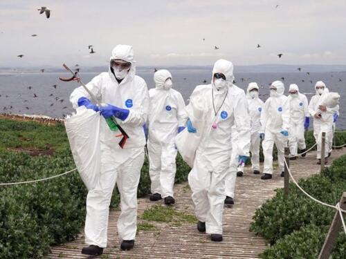 WHO upozorio zbog širenja ptičije gripe na ljude