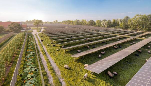 "Wien Energie": Rekordna ekspanzija solarne energije