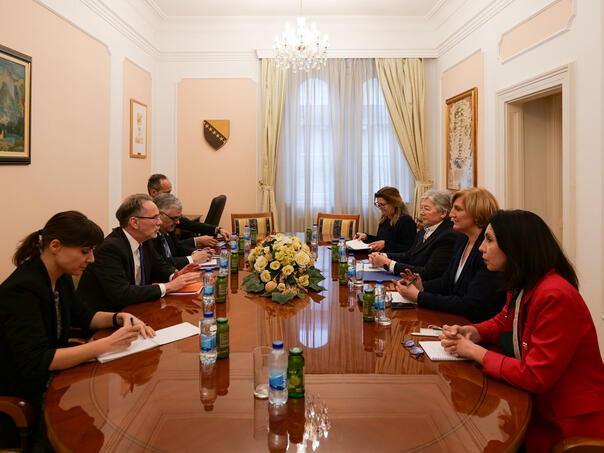 Williamson: Nestabilnost u Distriktu trpi cijela BiH, i obrnuto