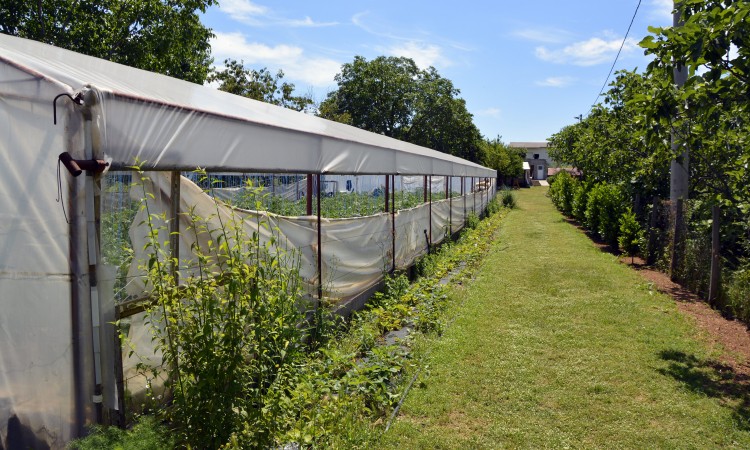 Za investicije u bh. poljoprivrednom sektoru EU osigurala tri miliona KM