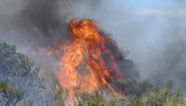 Za izazivanje požara u BiH kazna i do 12 godina zatvora