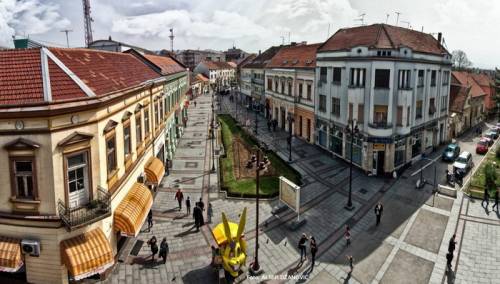 Za pokušaj ubistva navijača dobio pet godina i četiri mjeseca zatvora