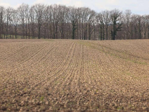 Za poljoprivredu u USK i FBiH više od 43 miliona KM novčanih podrški u 2025.