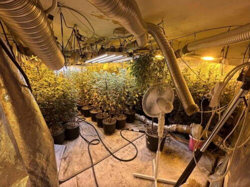 Za uhapšeni trojac u akciji "Koko" zatražen pritvor