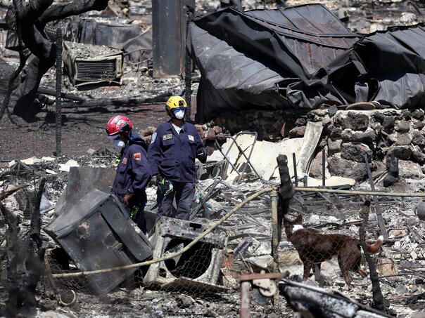 Za veliki požar na Havajima krive opskrbljivača strujom