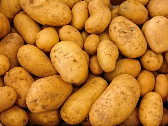 Zabranjen uvoz 50 tona mladog krompira iz Egipta u BiH