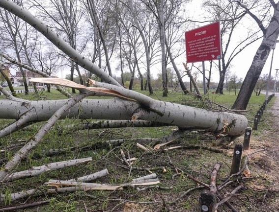 Zagreb nakon oluje: Stotine intervencija i ogromna materijalna šteta