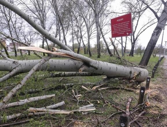 Zagreb nakon oluje: Stotine intervencija i ogromna materijalna šteta