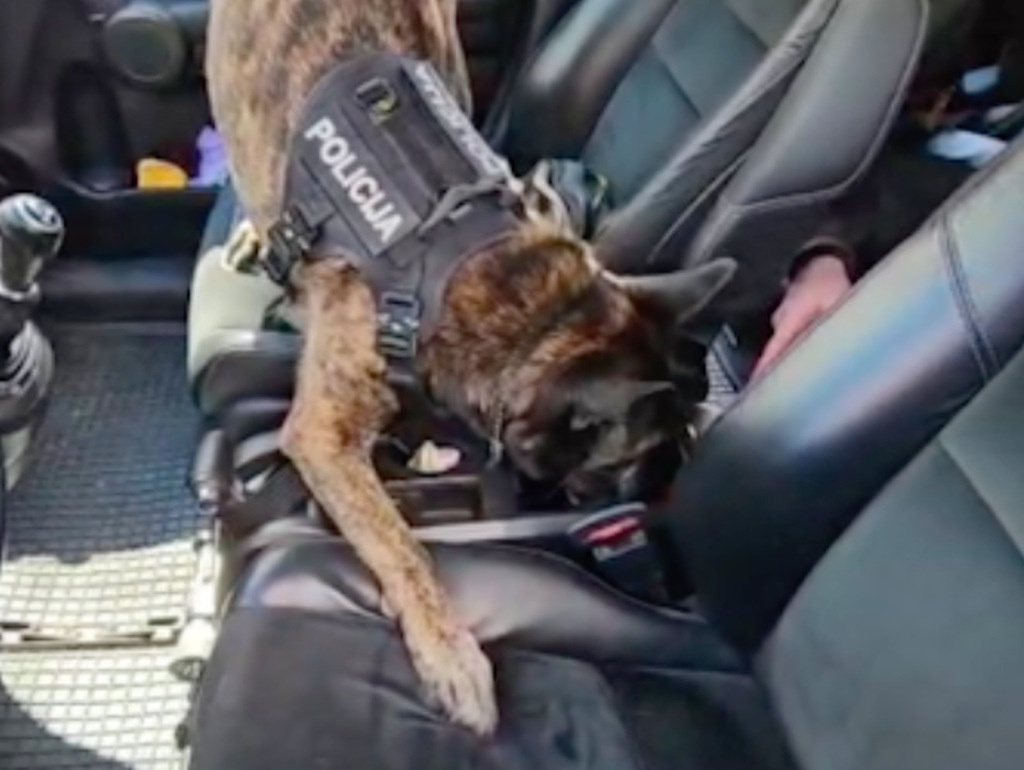 Zagrepčanin skrivao kokain u plinskoj boci i metalnim sprejevima