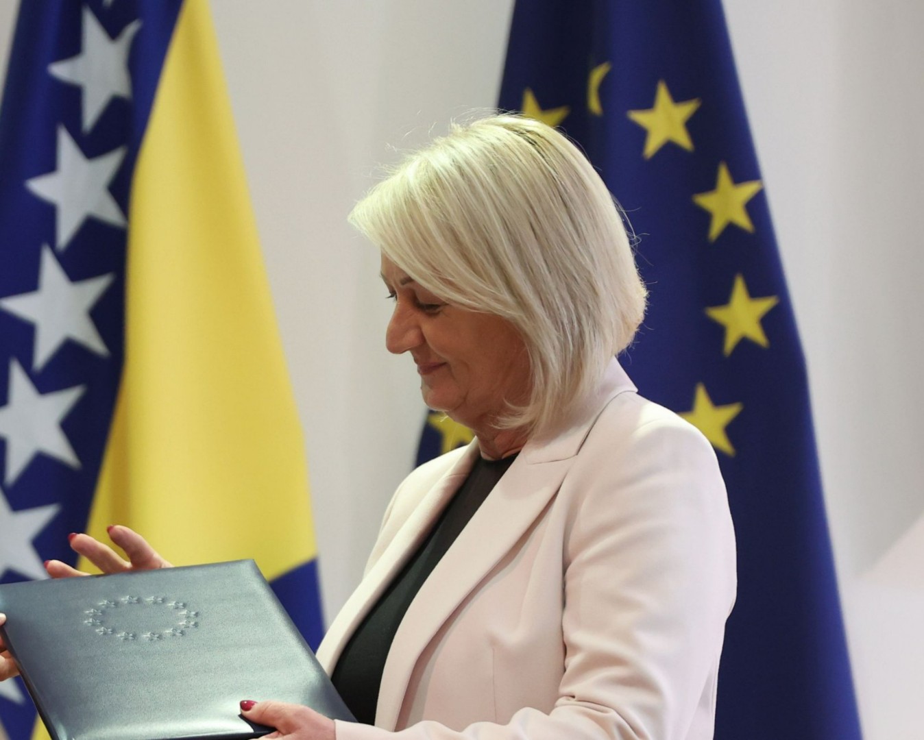 Žalba u predmetu Kovačević: Krišto pisala Strazburu u vezi agentica