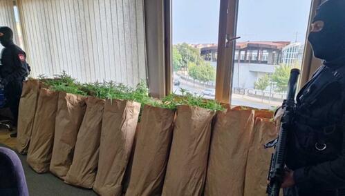 Zaplijenjeno 172 kilograma droge u Loparama