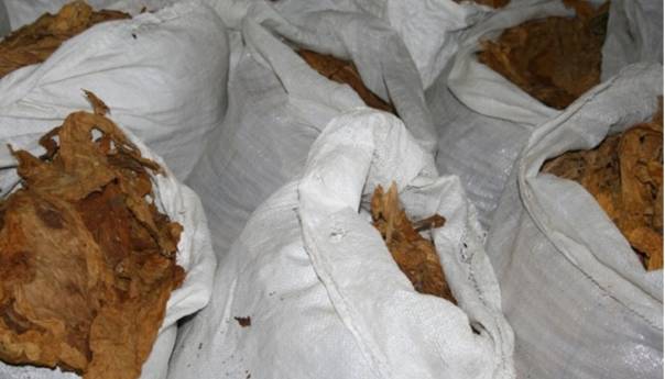Zaplijenjeno više od 300 kilograma duhana