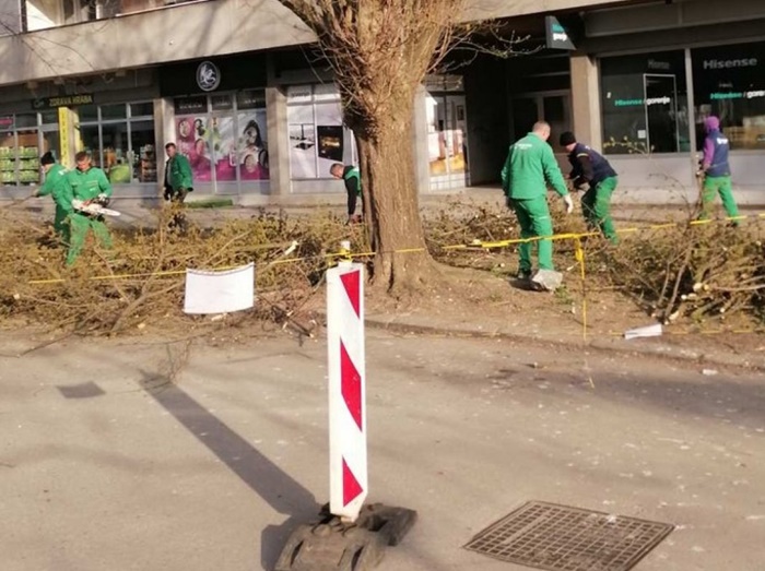 Započelo proljetno uređenje zelenih površina u Tuzli
