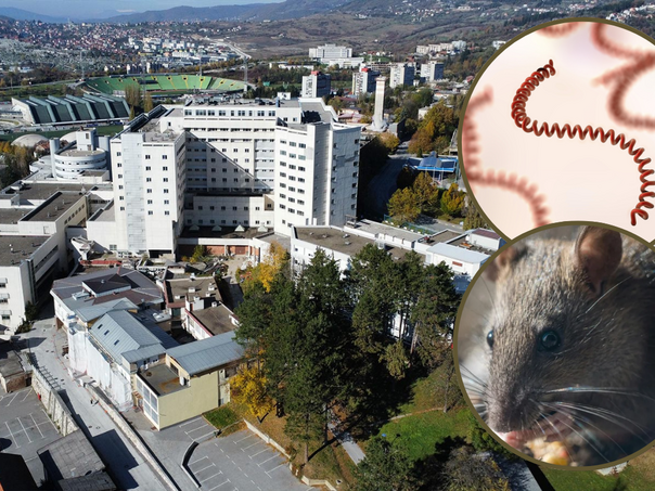 Zaraza u Sarajevu: Liječi se 10 pacijenata, čekamo vanredno obraćanje