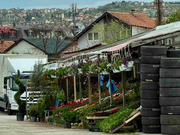 Zašto općinske i Federalna inspekcija žmure na prodaju na crno