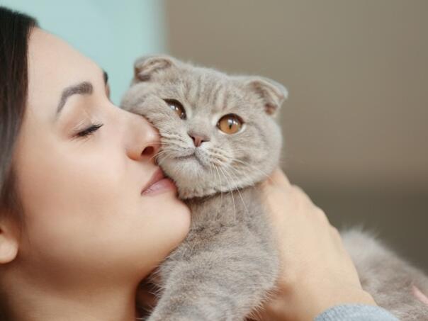 Zašto se mačke smatraju idealnim kućnim ljubimcima?